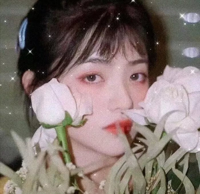 天才的脸孔